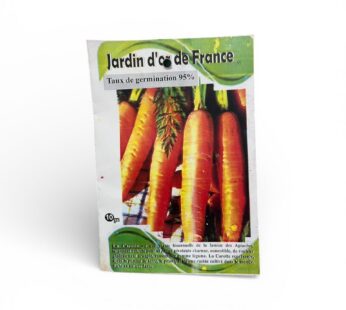 Semences carotte JDF (10g)