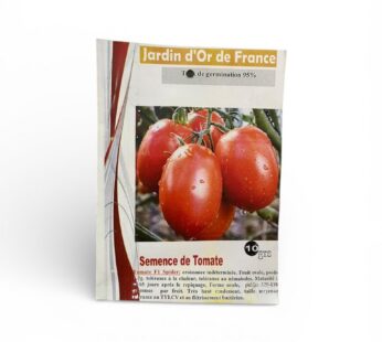 Semences de Tomate F1 Snider JDF (10g)