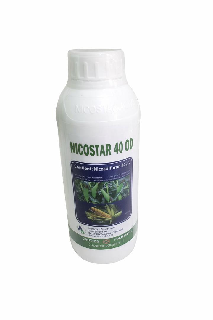 Nicostar 40 OD – Herbicide Sélectif pour Maïs