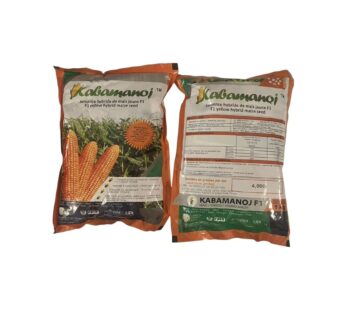 Kabamanoj F1 – Semence Hybride de Maïs Jaune (1Kg)