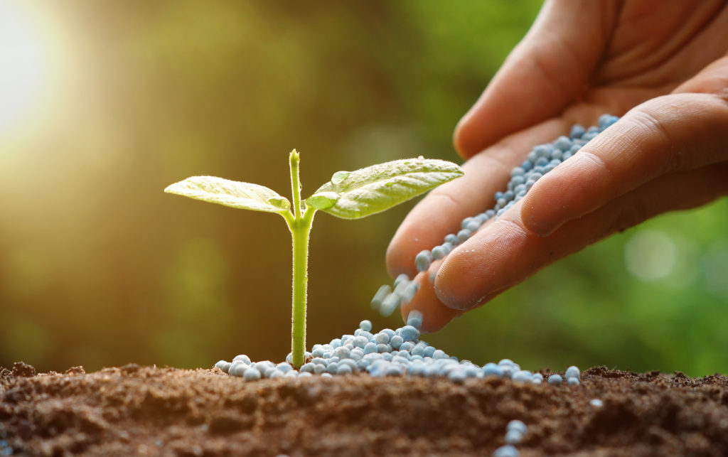 Boutique agricole au Cameroun : comment choisir les meilleurs intrants agricoles pour augmenter vos rendements ?
